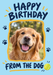 From the Dog Photo Birthday Card personalised photo card