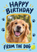 From the Dog Photo Birthday Card personalised photo card