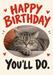 Cat Approval Photo Birthday Card personalised photo card