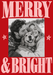 Merry & Bright Photo Greeting Card personalised photo card