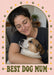 Olive-green paw prints and yellow dots surround an arched photo frame on peach, above chunky green retro serif dog-mum wording.