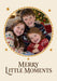 OEC-363 golden-little-moments concept v7