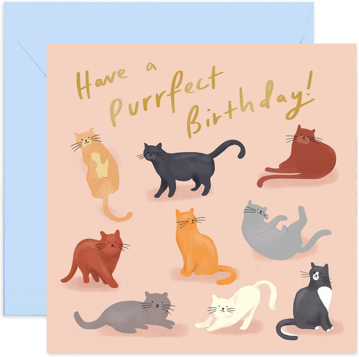 Old English Co. Have A Purrfect Cat Birthday Card - Gold Foil Cat Kitten Themed Birthday Greeting Card | Funny Pun Animal Card | Blank Inside & Envelope Included