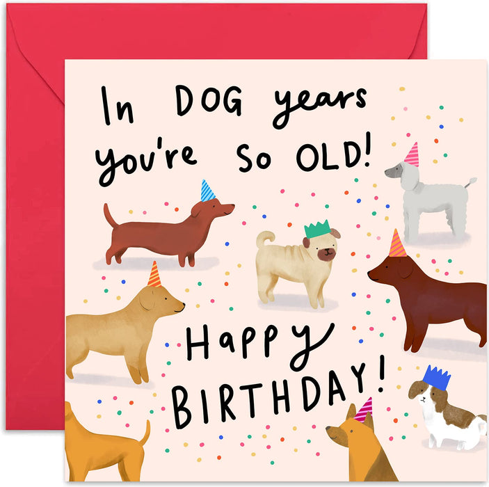 Old English Co. In Dog Years You're Old Card - Funny Animal Birthday Greetings for Men and Women | Humour Joke For Him and Her| Blank Inside & Envelope Included