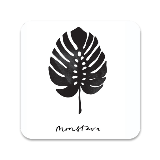 Monstera Leaf Coaster 