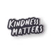 Kindness matters enamel pin